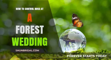 Eco-Friendly Tips to Keep Bugs at Bay During Your Forest Wedding