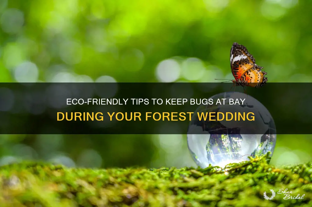how to control bugs at a forest wedding