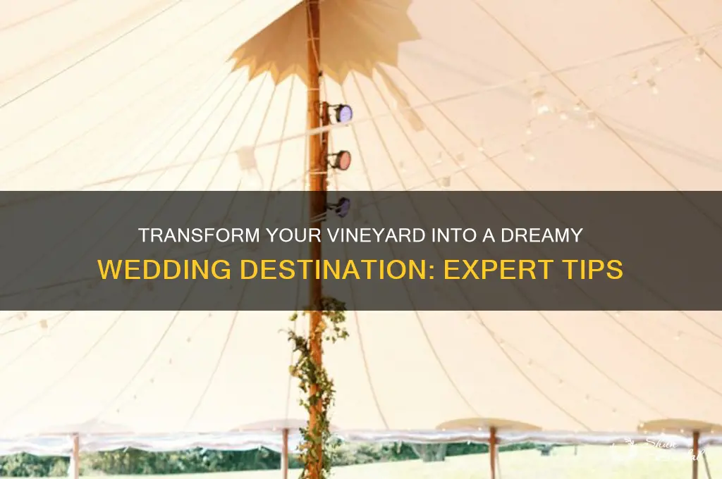 how to convert wineyard into wedding desitations