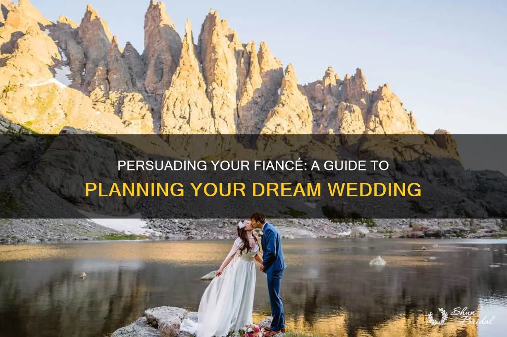 how to convince my fiance to have a wedding