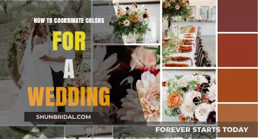 Perfect Wedding Palette: Tips for Coordinating Colors Like a Pro