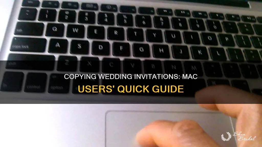 how to copy and paste an wedding invitation using mac