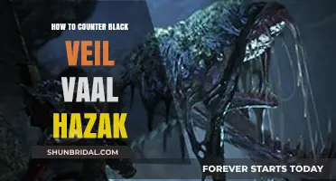 Mastering the Fight: Effective Strategies to Counter Black Veil Vaal Hazak