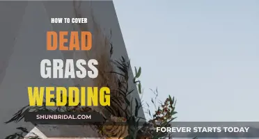 Creative Solutions for Concealing Dead Grass at Your Wedding Venue