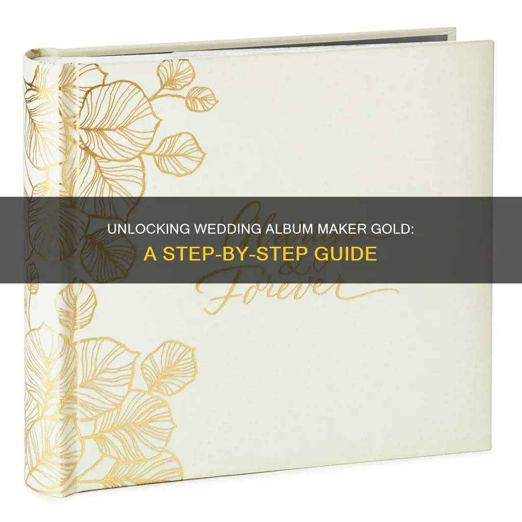 how to crack wedding album maker gold