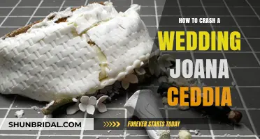 Joana Ceddia's Guide: Sneaking into Weddings Like a Pro