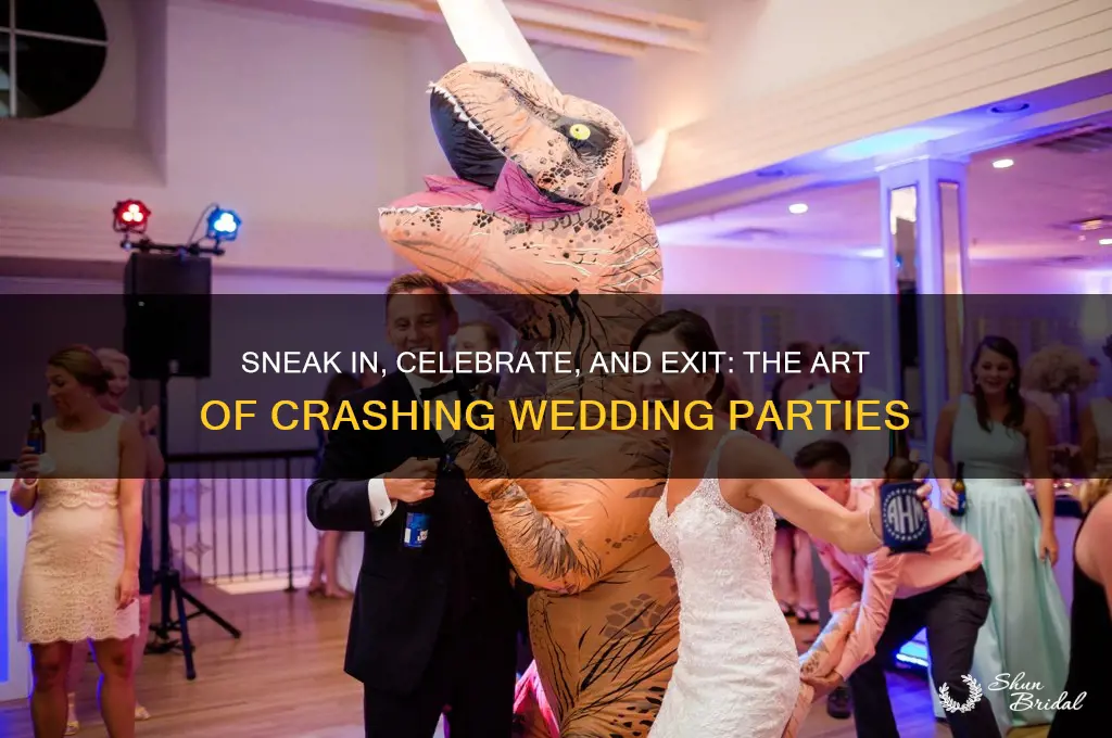 how to crash a wedding party