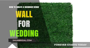 Elegant Boxwood Hedge Wall: DIY Guide for Stunning Wedding Decor