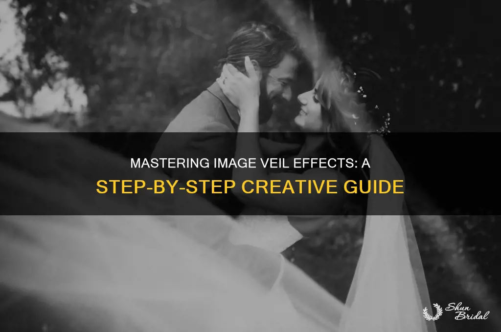 how to create a veil on an image
