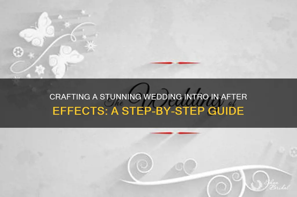 how to create a wedding intro in after effects