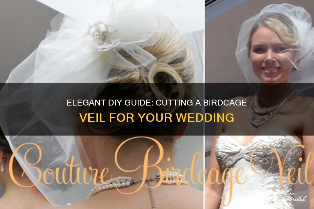 how to cut a birdcage veil