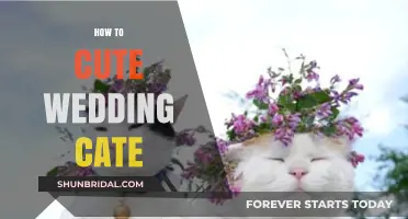 Adorable Wedding Cat Ideas: Tips for a Purrfect Feline Companion