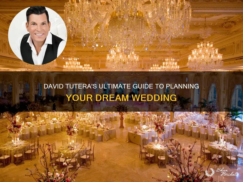 how to david tutera for wedding planning