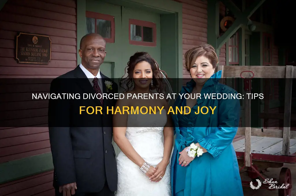 how to deal with divorced parents at your wedding