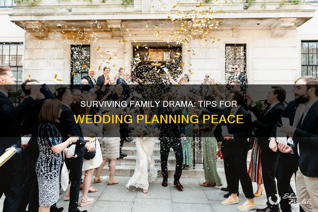 how to deal with family during wedding planning