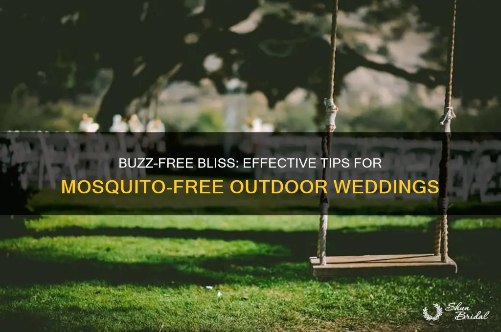how to deal with mosquitoes at outdoor wedding