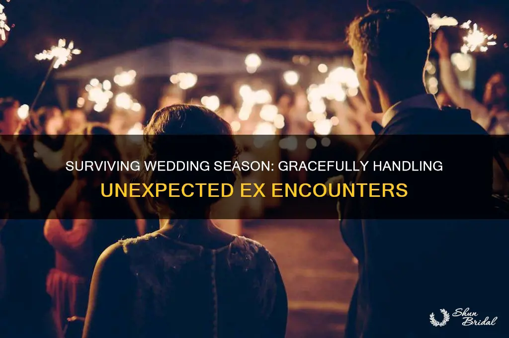 how to deal with seeing your ex at a wedding