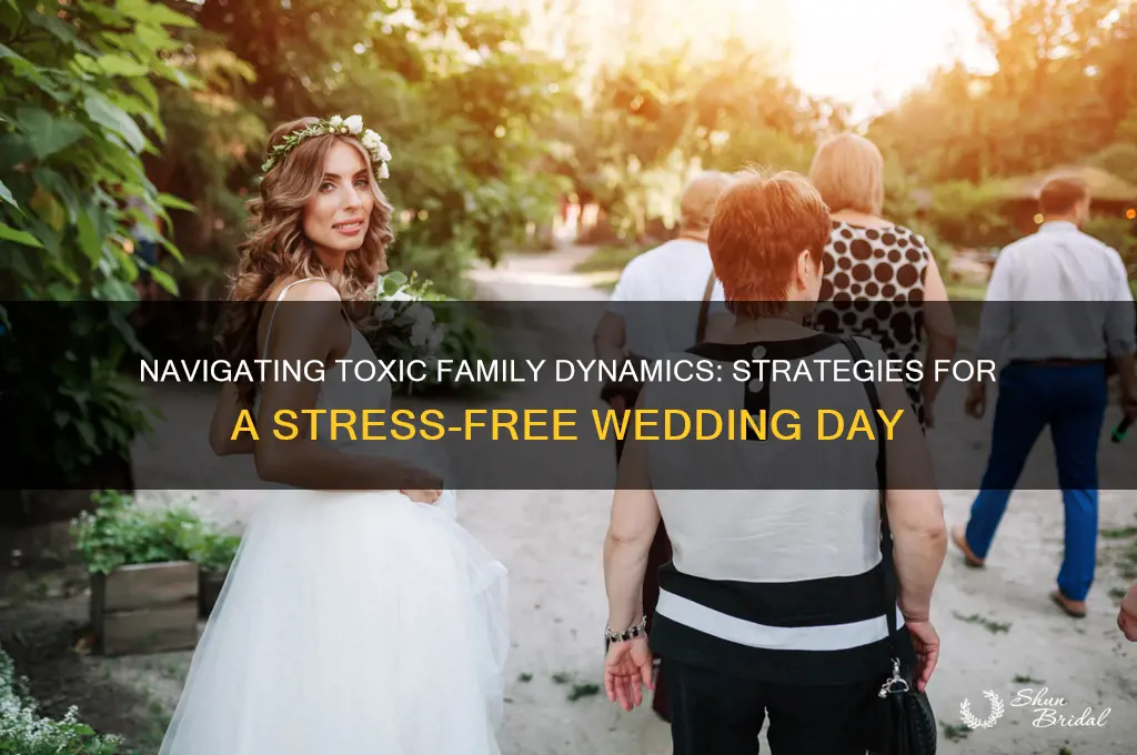 how to deal with toxicfamily members at my wedding