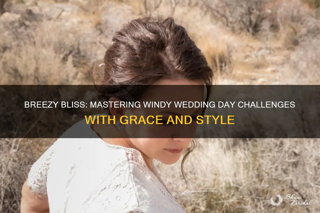 how to deal with wind on wedding day