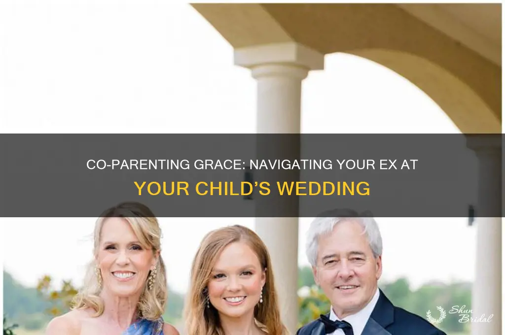 how to deal with your ex at your child