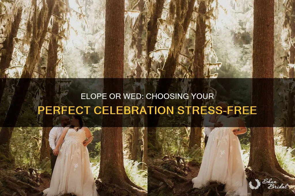 how to decide to elope or have a wedding