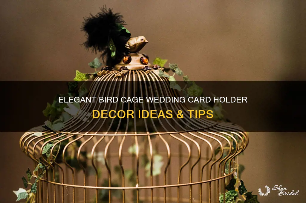 how to decorate a bird cage for wedding gifts cards