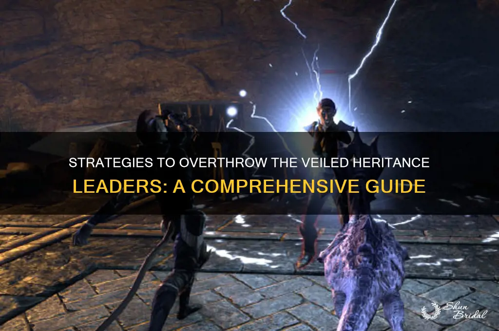 how to defeat the leaders of the veiled heritance