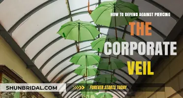 Protect Your Business: Strategies to Prevent Piercing the Corporate Veil