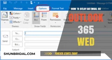 Delaying Emails in Outlook 365: A Step-by-Step Web Guide