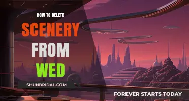 Efficiently Remove Unwanted Scenery from Your Website: A Step-by-Step Guide
