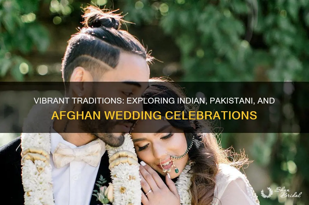 how to describe indian pakistani and afghan weddings