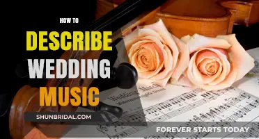 Crafting the Perfect Wedding Playlist: Describing Music for Your Big Day