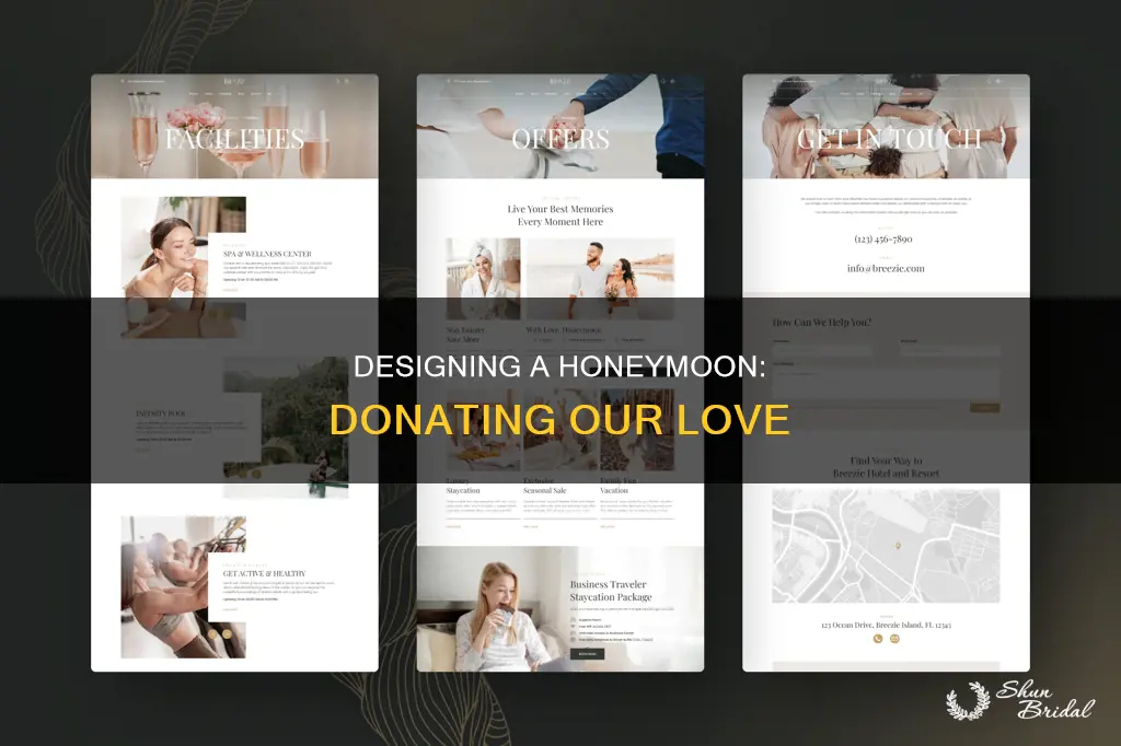 how to design honeymoon website to donate