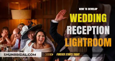 Lightroom Tips for Wedding Reception Photography