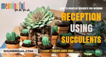 Succulent Dessert Displays for Your Wedding Reception