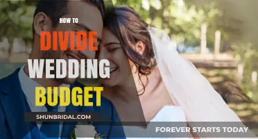 Smart Wedding Budget Division: Tips for a Stress-Free Financial Plan