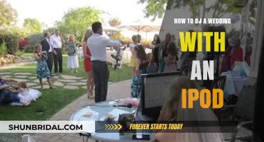 DJ Your Wedding Like a Pro Using Just an iPod