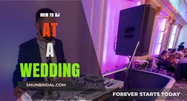 Mastering the Wedding DJ Role: Tips for a Perfect Celebration