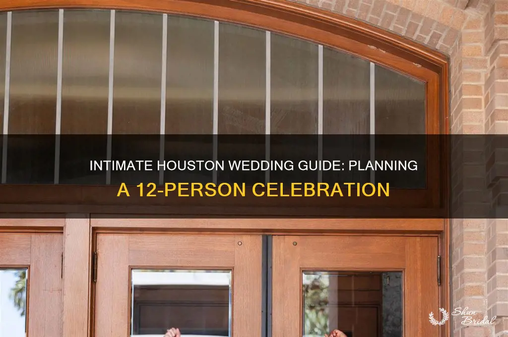 how to do 12 people wedding in houston