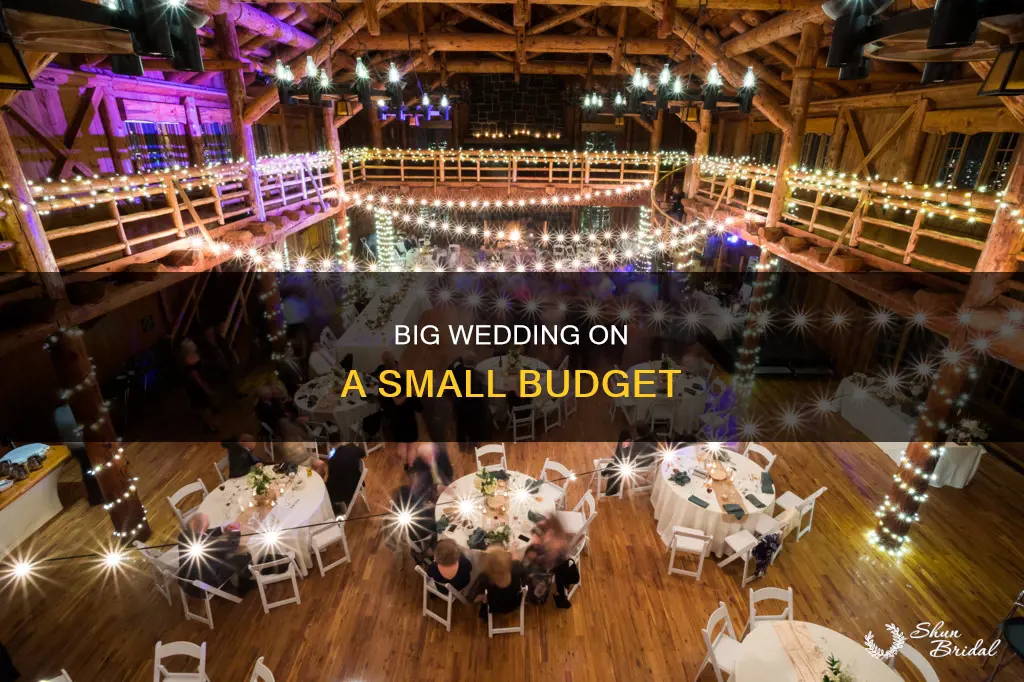 how to do a big wedding cheap