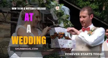 Elegant Butterfly Release Ideas for Your Dream Wedding Celebration