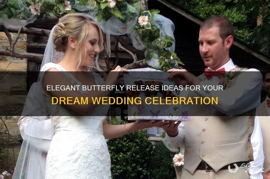 how to do a butterfly release at a wedding