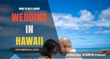 Affordable Hawaii Wedding Guide: Tips for a Budget-Friendly Tropical Celebration