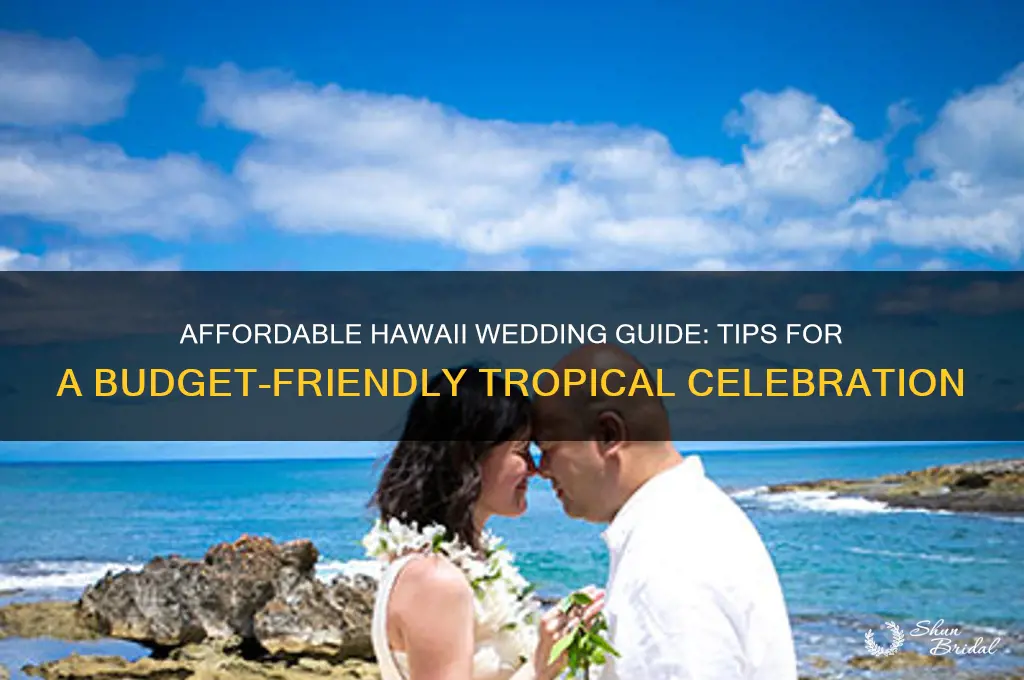 how to do a cheap wedding in hawaii