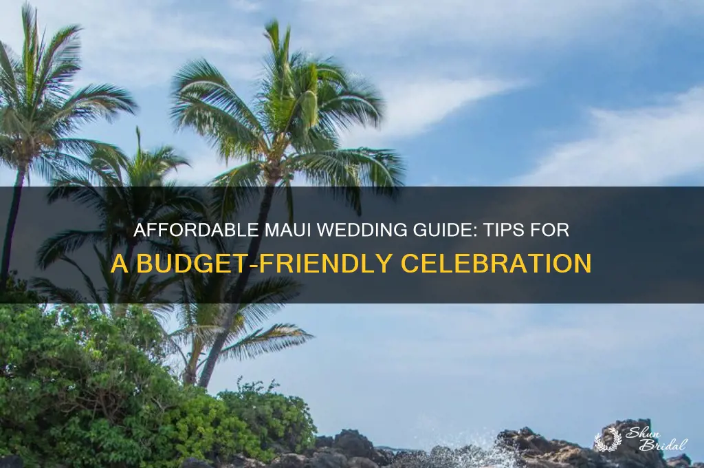 how to do a cheap wedding in maui
