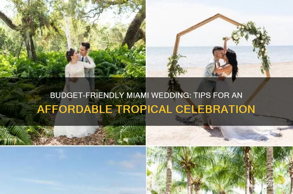 how to do a cheap wedding in miami