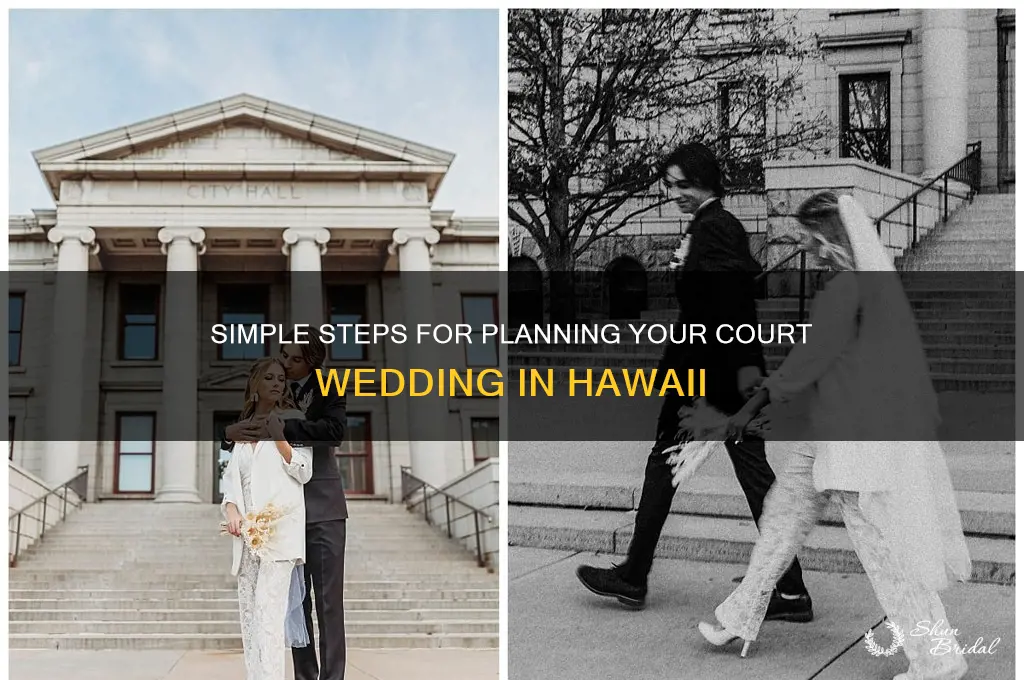 how to do a court wedding hawaii