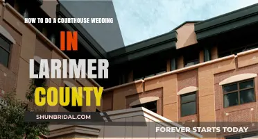 Your Simple Guide to a Larimer County Courthouse Wedding