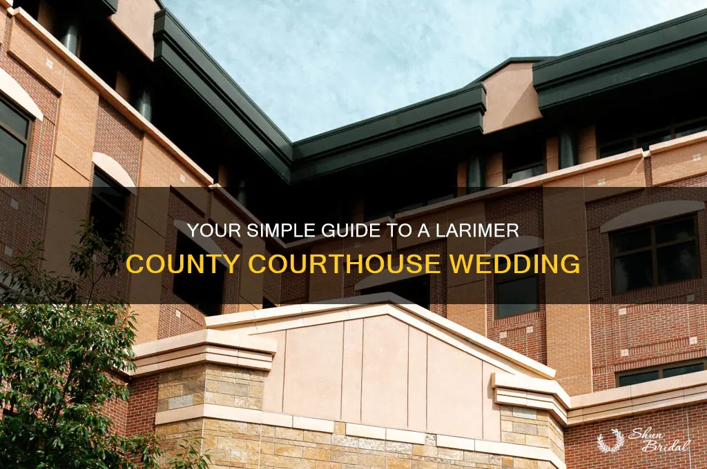 how to do a courthouse wedding in larimer county