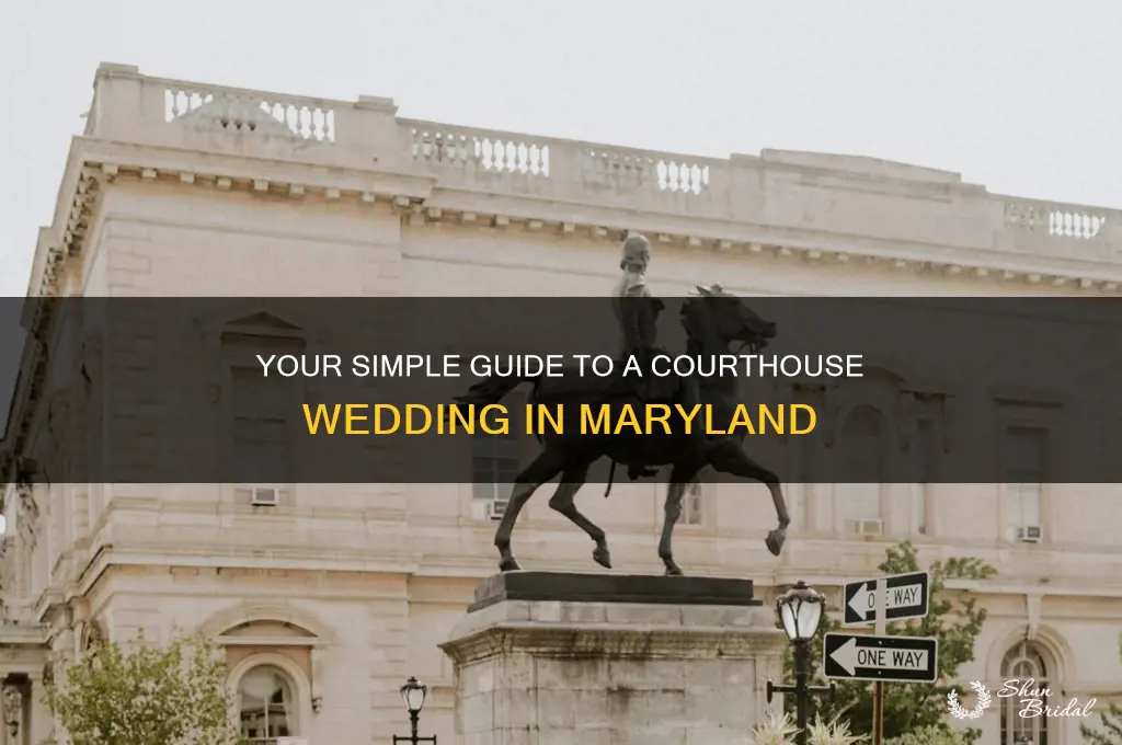 how to do a courthouse wedding in maryland